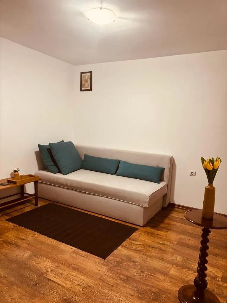 Spacious Apartment With A Mountain View, Big Balcony And Parking Sofia