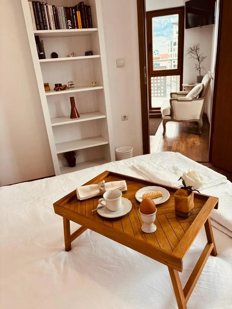 Spacious Apartment With A Mountain View, Big Balcony And Parking Sofia Bulgarije
